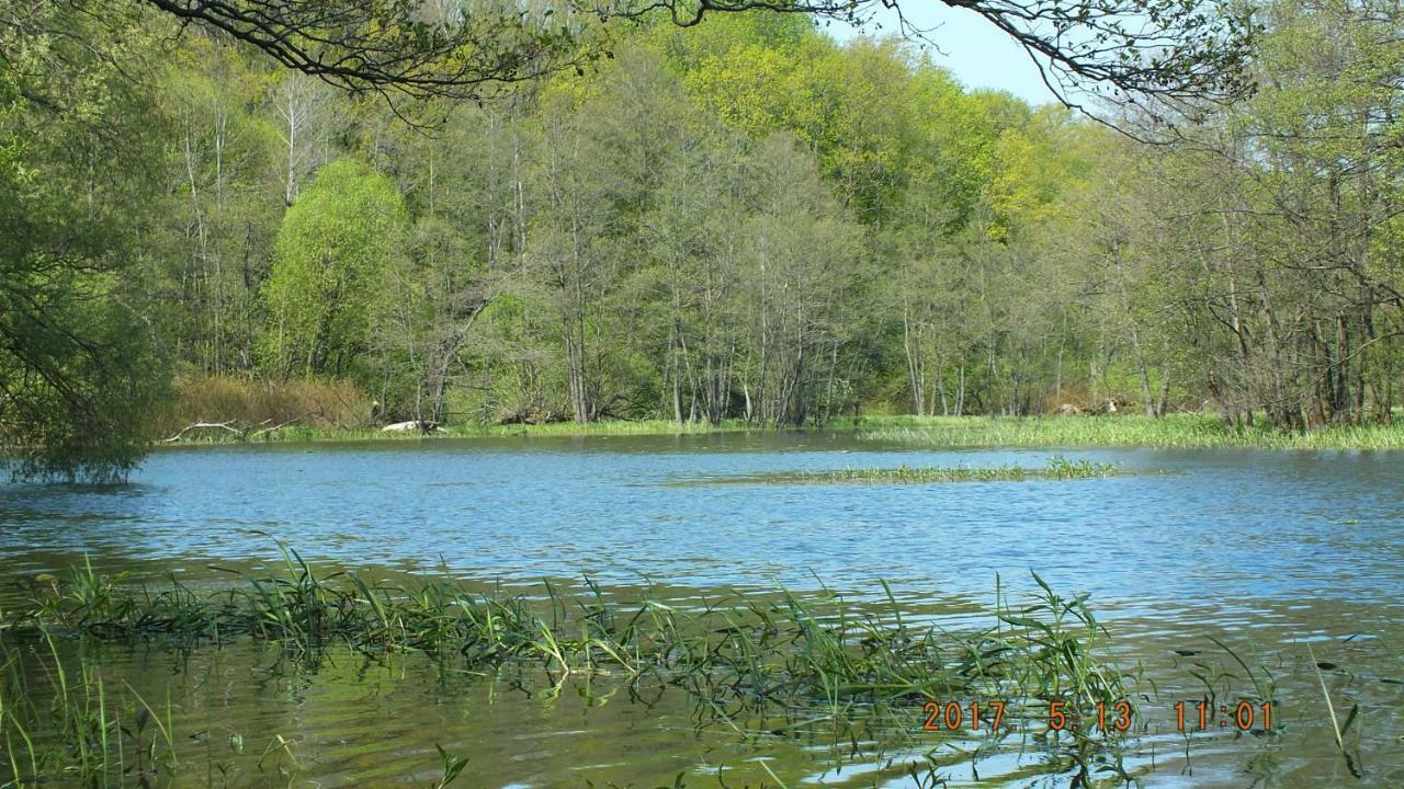 Kwatera Na Bagnach Osowiec  Buitenkant foto