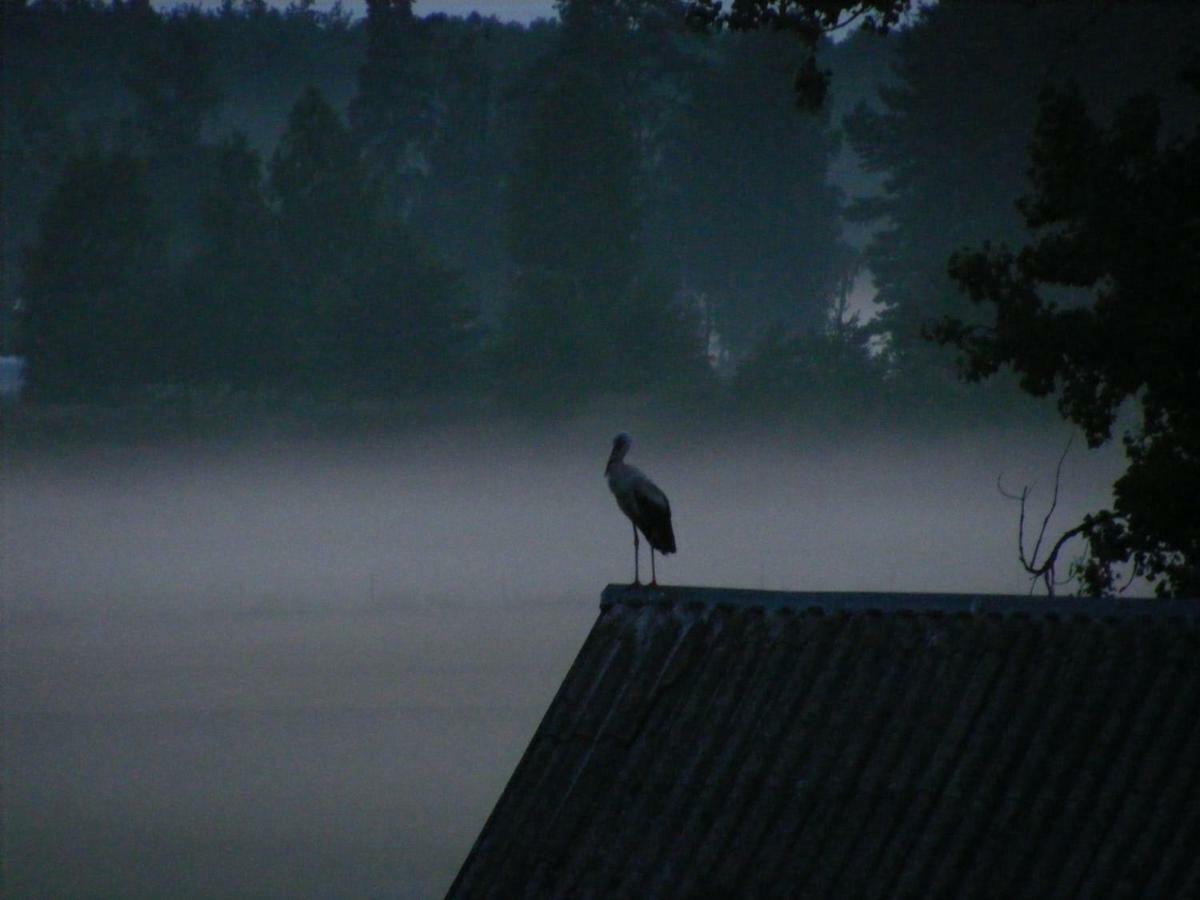 Kwatera Na Bagnach Osowiec  Buitenkant foto